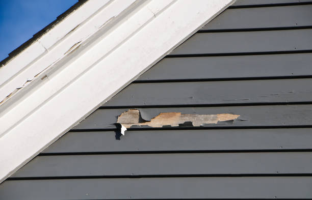 Best Attic Cleanout  in Marine City, MI